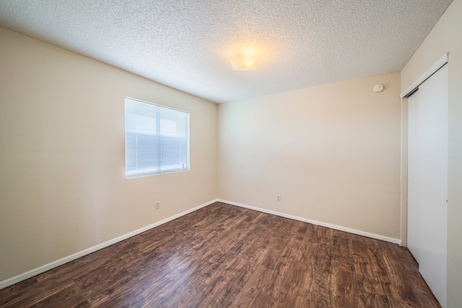 Gallery Photo 6